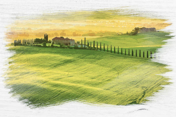 ilustraciones, imágenes clip art, dibujos animados e iconos de stock de pintura de acuarela de sunrise sobre los campos verdes en la toscana - rolling landscape illustrations