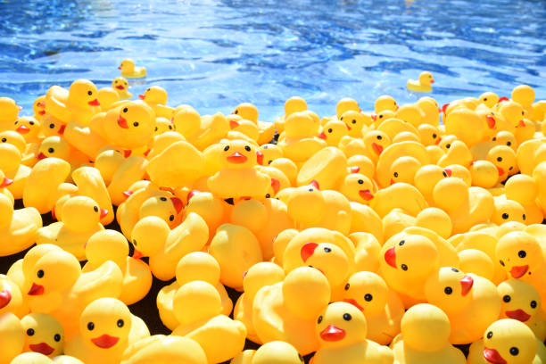istock Many bright yellow rubber ducks floating in the pool 1279482167