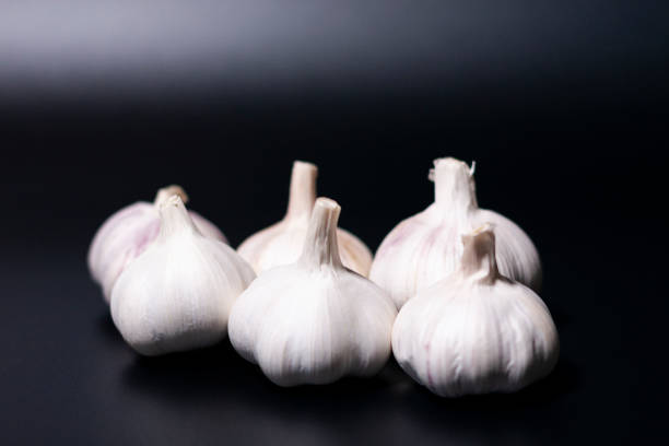 istock white garlic heads on a dark background. 1279483365