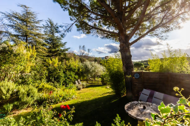 istock garden in Provence, in the fall 1279484954
