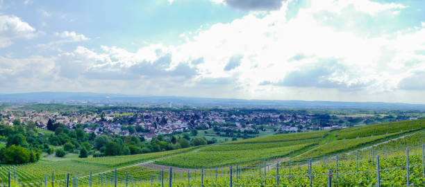 istock Panorama Vineyard in South Germany 1279485804