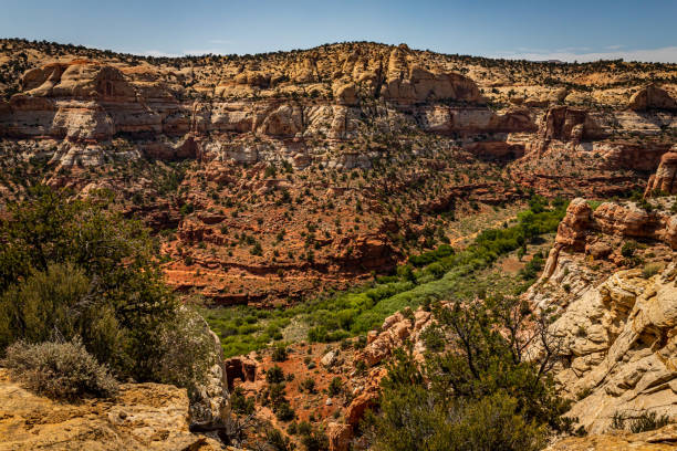 istock Utah State Route 12 Scenic Drive 1279486186
