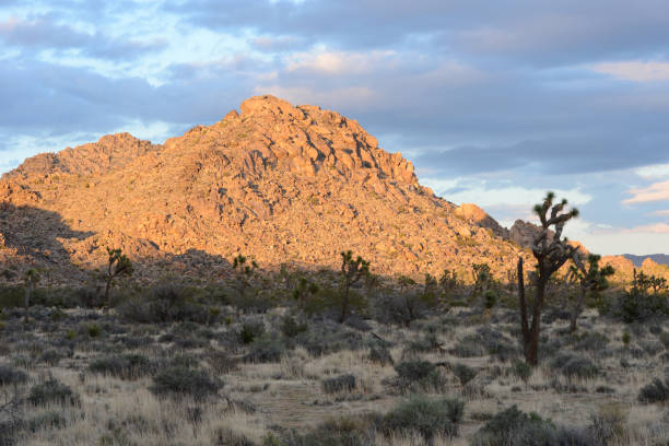 istock Joshua Tree National Park California at dusk 1279486251