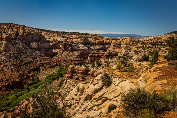 istock Utah State Route 12 Scenic Drive 1279486801