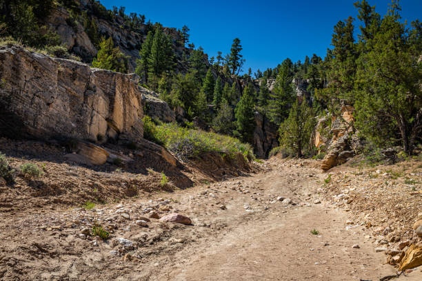 Lick Wash Trail Hike