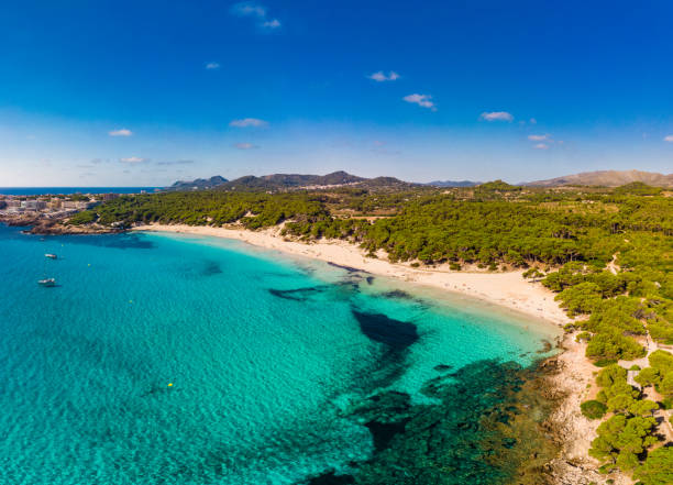istock Cala Agulla sand beach Spain, Balearic Islands, Mallorca, Cala Rajada 1279488614