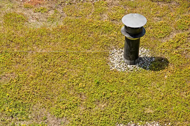 Close-up of a vegetated roof with desum growing around a patch of gravel with a small steel chimney