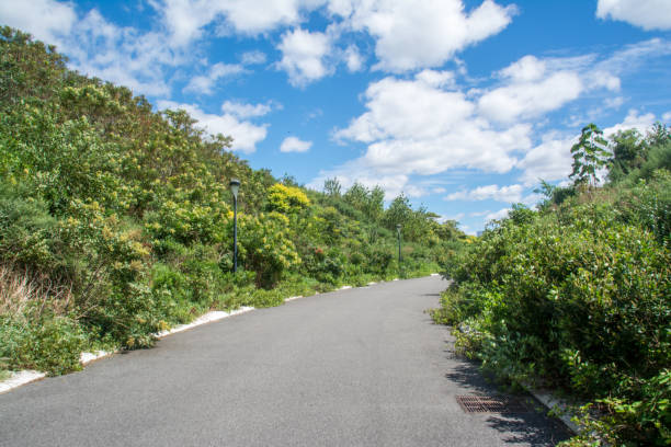 Empty Road on Governors Island on Summer Day