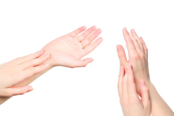 istock Woman hands isolated on white background. 1279497768