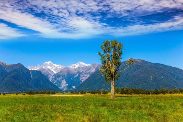 istock On the way to Lake Matheson 1279498748