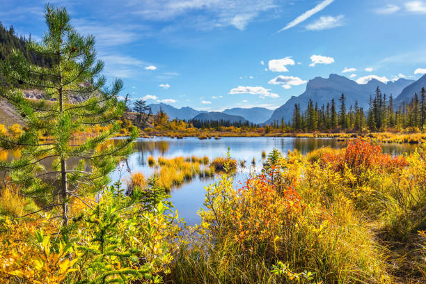 istock 