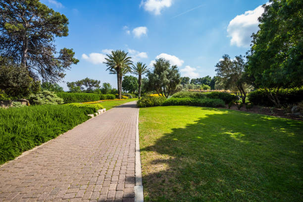 istock The walk in a clean well-kept park 1279498763