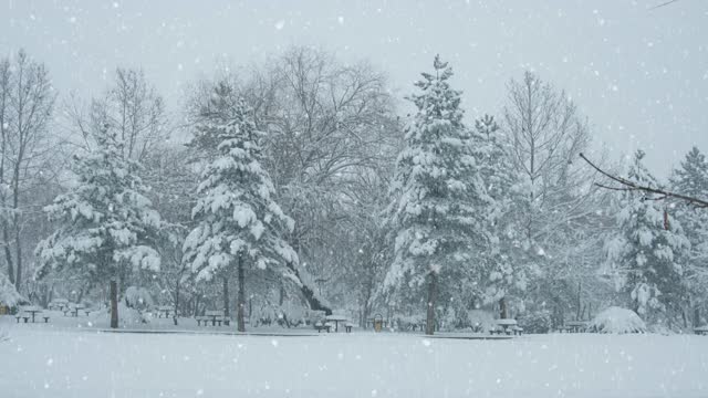 Winter Landscape - Loopable