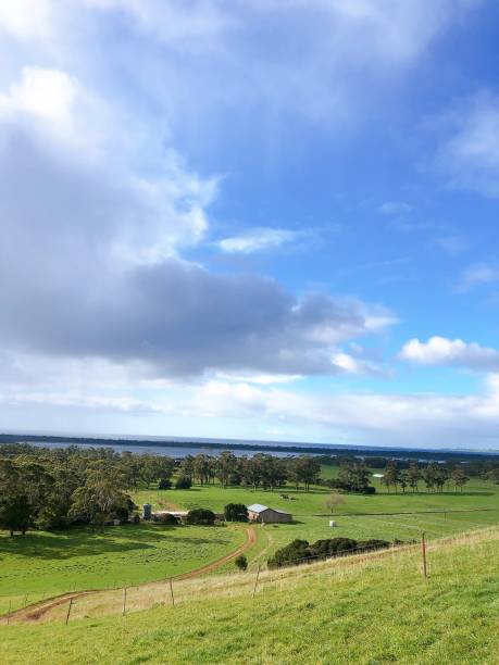 istock the hills in Tasmania, Australia 1279499656