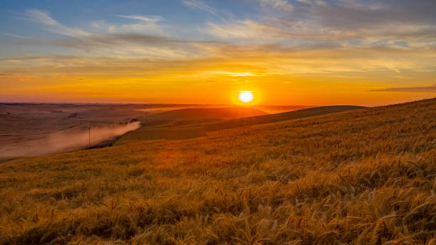 istock Incredible sunset. Palouse fields, Whitman County, Washington, USA 1279501247