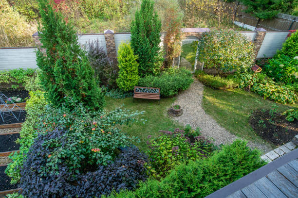 istock Aerial view from russian dacha on garden with apple tree, footpath, thujas, hostas and mirror in wall.  Sunny autumn in Moscow oblast 1279501268