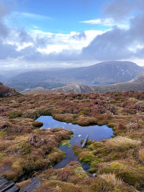 istock the beautiful pond in Tasmania, Australia 1279501496