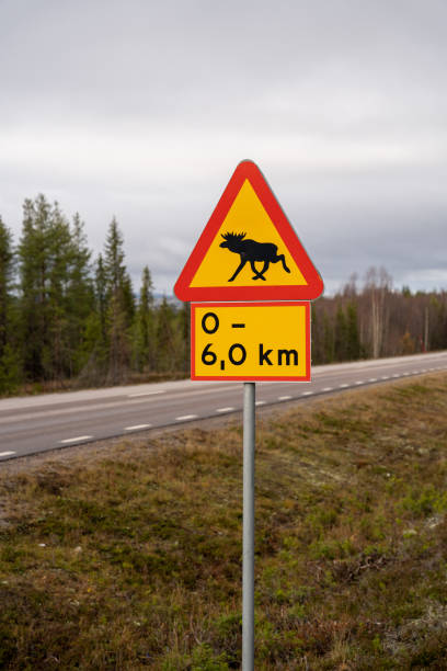 istock Beware of moose sign in Sweden 1279501573