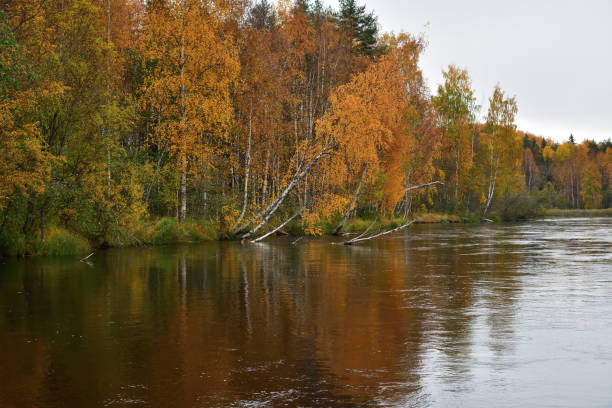 istock Autumn scenery. Karelia, Russia 1279502521