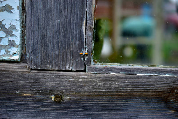 istock Old window frames and rotten arms and hinges 1279506332