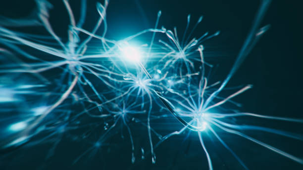 нейронная синапсовая голограмма - excitatory synapse стоковые фото и изображения