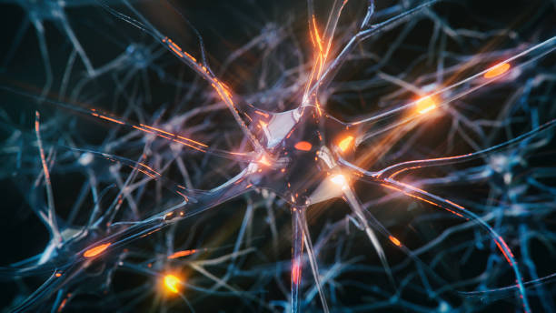 Neuron system disease Neuron cells system disease - 3d rendered image of Neuron cell network on black background. Interconnected neurons cells with electrical pulses. Conceptual medical image.  Glowing synapse.  Healthcare, disease concept. central nervous system photos stock pictures, royalty-free photos & images
