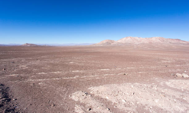 istock Landscape at pan de azucar national park 1279511937