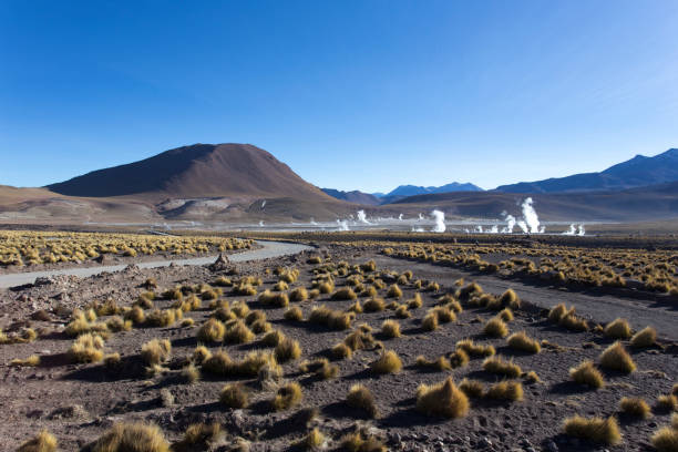 istock A geyser area landscape view 1279512589