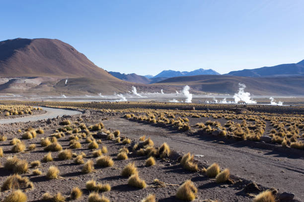 istock A geyser area landscape view 1279512959