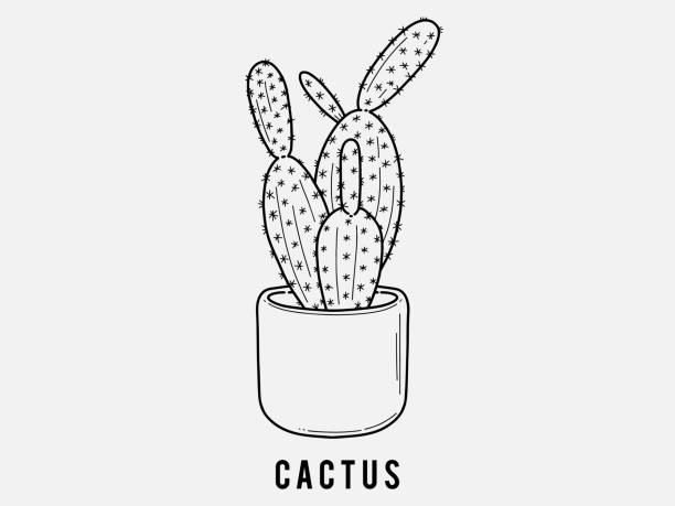 ilustrações de stock, clip art, desenhos animados e ícones de hand drawn cactus. indoor plant in a jar. scandinavian style illustration with monstera, modern and elegant home decor. vector poster design. - chive white onion backgrounds