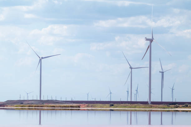 istock Wind generators farm on pink salt lake coast 1279514042