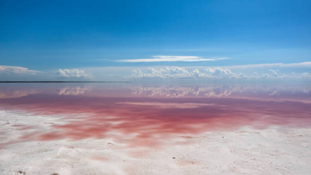 istock Pink salt lake coast water with cloudy blue sky 1279514152