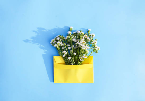 istock Yellow paper envelope with small garden white chamomile flowers on light blue background. Festive floral template. Greeting card design. Top view. 1279516566