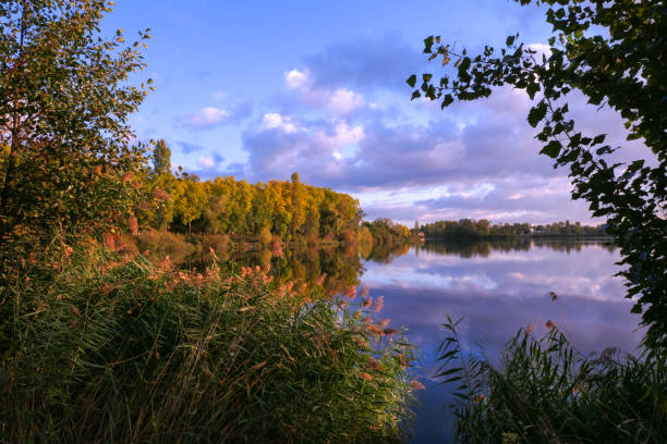 istock Country landscape with a lake. 1279517852