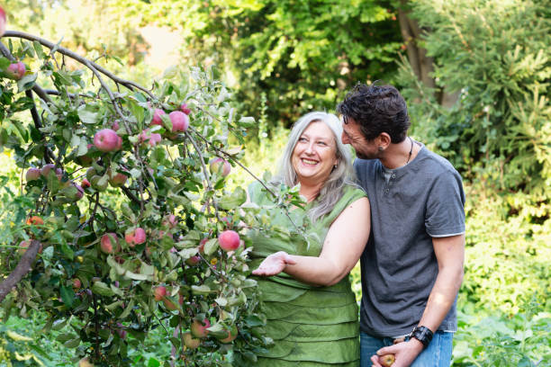 coppia matura al melo - women large build gardening outdoors foto e immagini stock