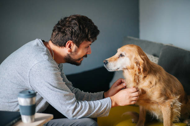 istock Young man working at home with his dog 1279519792