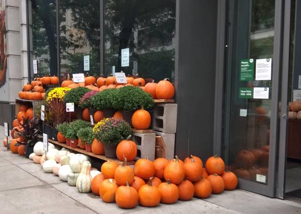istock Pumpkins un New York city 1279521089