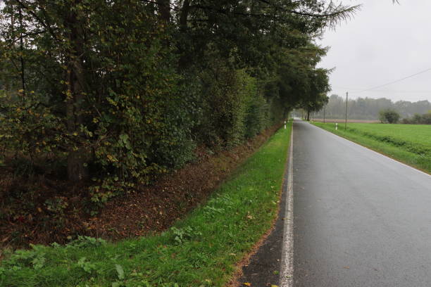 istock Road in the rain 1279525835