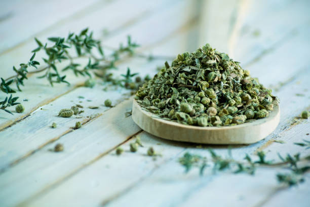 istock pile of dried thyme. 1279527455