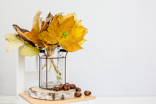Autumn decorations with chestnut and maple leaves