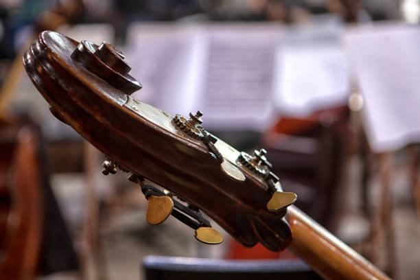 istock Cellos and Violas at rest before the concert. 1279528771