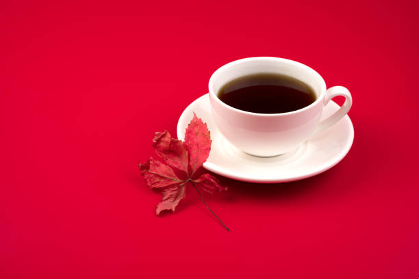 istock Phyto-teas in a white Cup on a red background with autumn leaves. 1279528844