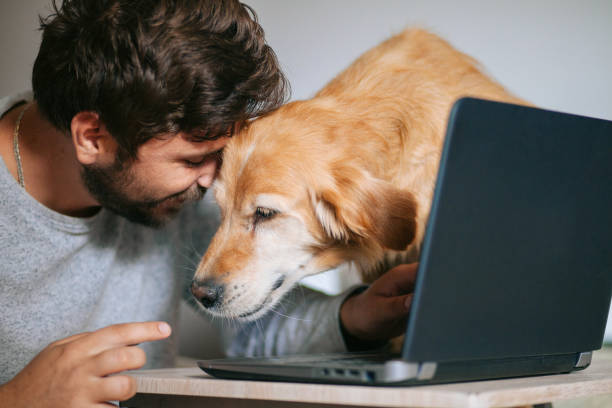 istock Young man working at home with his dog 1279529782