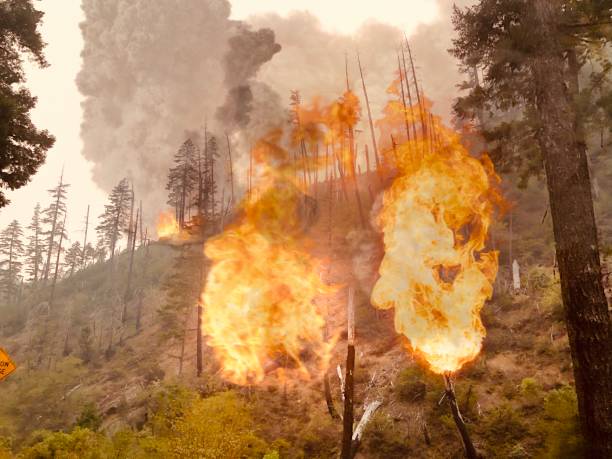 istock Wildfires, California wild fires 2020 1279529803