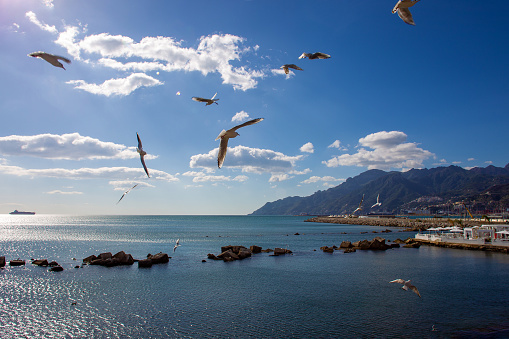 Idyllic landscape on  Tyrrhenian sea ,Salerno om Amalfi coast . Seagulls in sky.  Large ships in the cargo port of Salerno at far distance.