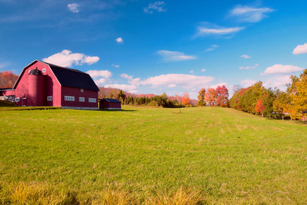 istock Fall colors on the country side 1279534531