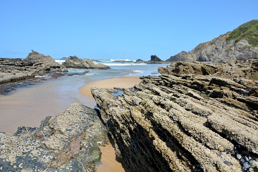 Mussels in the rocks. Alentejo, Portugal.