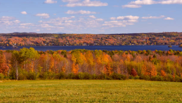 istock Fall colors on the country side 1279535801
