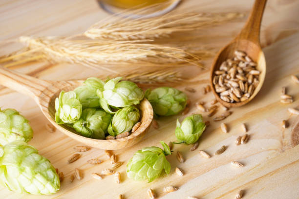 istock Hops and barley on wooden background 1279536016