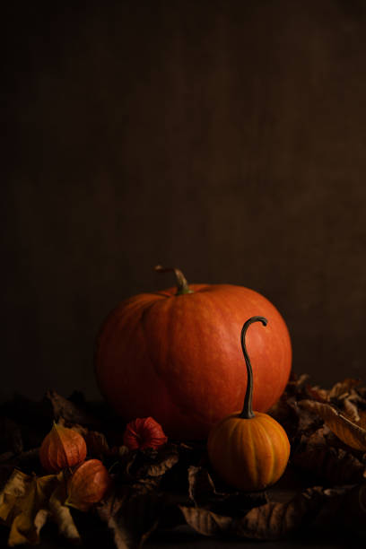 istock Big and small pumpkin in the shadow. 1279538232
